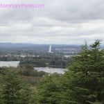 Canberra with the Human Brochure – the National Arboretum & a long lunch!