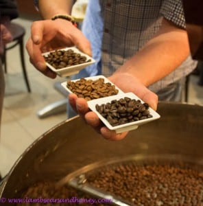coffee beans, Java Coffee Flavours of Campbelltown Food Trail