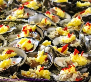 Kangaroo Island Source Recipe for oysters