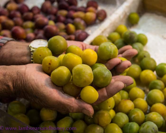 Central Market Tours - Mario's homegrown plums.