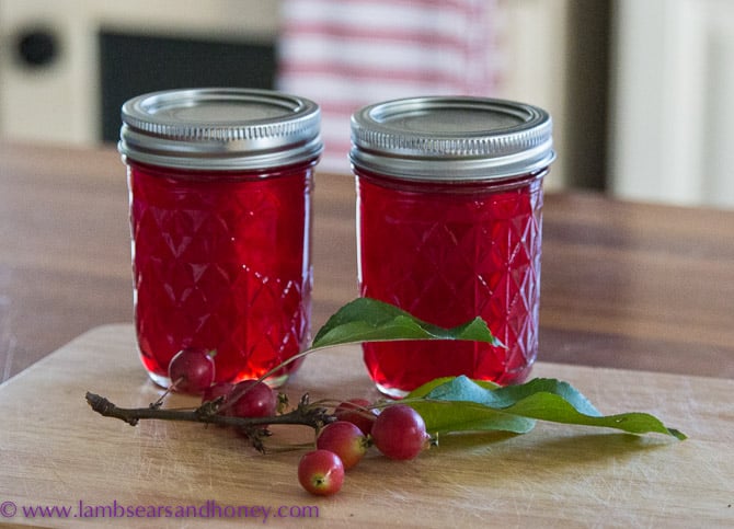 Crabapple jelly - In My Kitchen May 2015