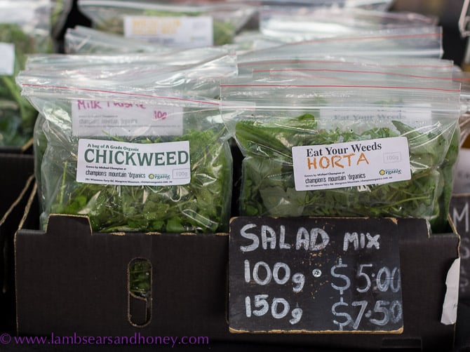 Eat Your Weeds - Eveleigh Farmers Market