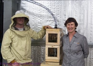 Buzz Honey's Annette Ferris and beekeeper Aaron.