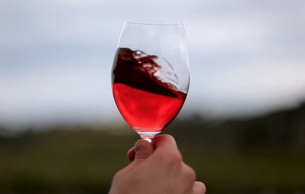 south australian food & beverage trails wine glass