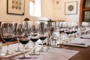 chapel hill winery icon tasting experience