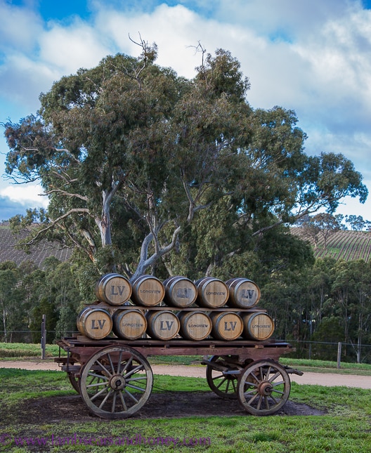Adelaide Hills longview vineyard
