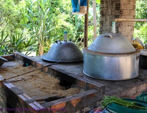 Rice wine distillery - Cambodian food production