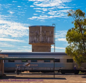 Cook water tower, indian pacific