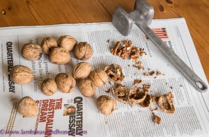 In My Kitchen are walnuts