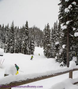 Skiers at sun peaks resort