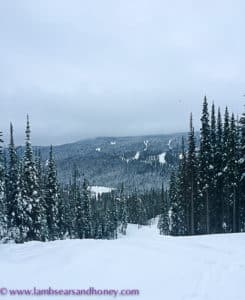Views from the top, snow mobiling - outdoor activities at sun peaks resort