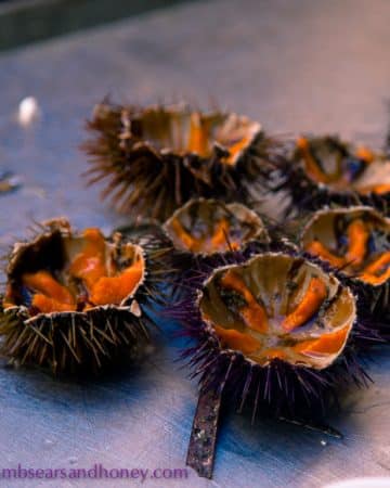 fresh sea urchin roe at Ortigia market