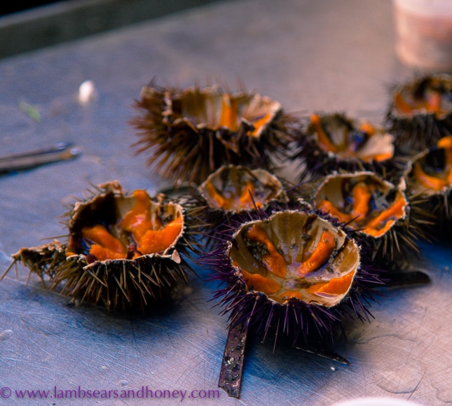 fresh sea urchin roe at Ortigia market