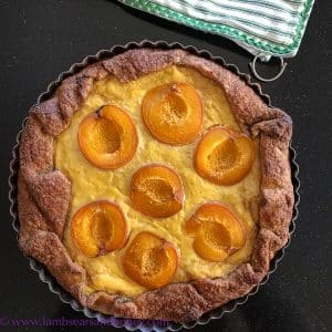 Rustic and simple - Ricotta, Apricot and Marmalade Galette