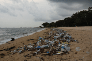 Break up With the Bag, beach litter