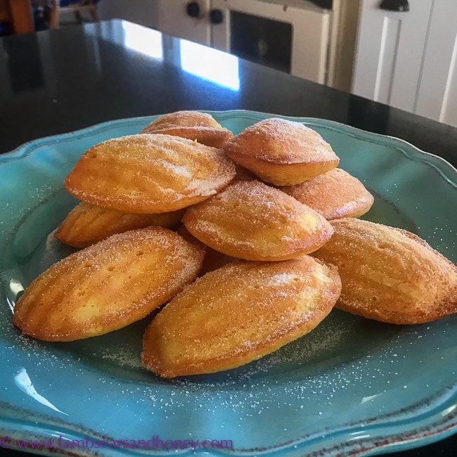 cookbook, In the French Kitchen with Kids, Madeleines