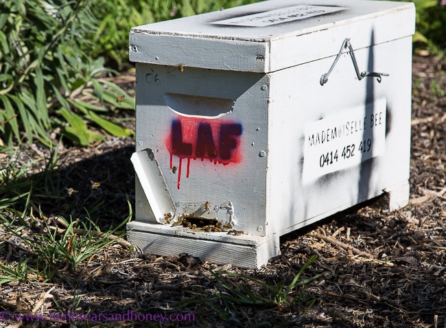 Temporary hive, urban beekeeping