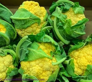 yellow cauliflower, visit rungis